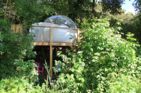 La bulle canopée